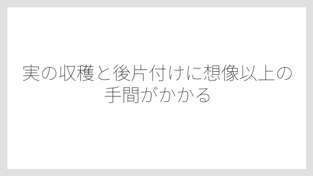 実の収穫と後片付けに想像以上の手間がかかる