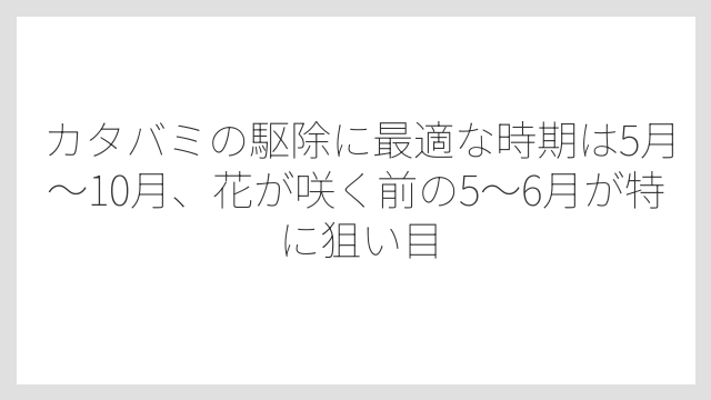 カタバミの駆除に最適な時期は5月〜10月、花が咲く前の5〜6月が特に狙い目
