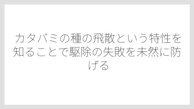カタバミの種の飛散という特性を知ることで駆除の失敗を未然に防げる