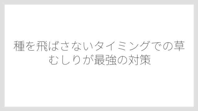 種を飛ばさないタイミングでの草むしりが最強の対策