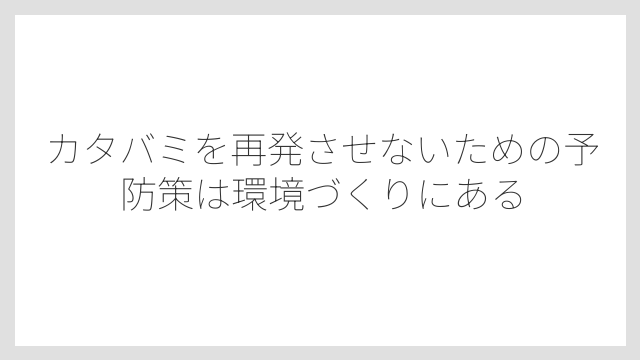 カタバミを再発させないための予防策は環境づくりにある