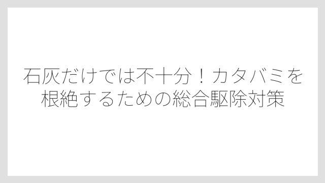 消石灰はカタバミを少し生えにくくする程度の効果
