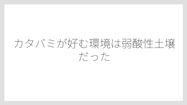 カタバミが好む環境は弱酸性土壌だった