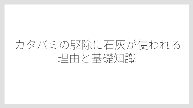 カタバミの駆除に石灰が使われる理由と基礎知識