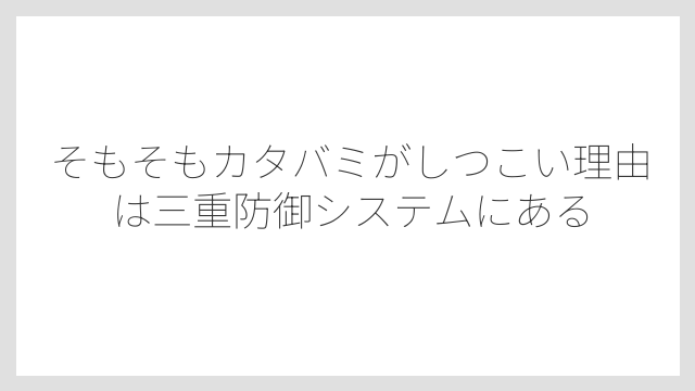 そもそもカタバミがしつこい理由は三重防御システムにある
