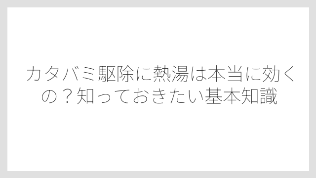 カタバミ駆除に熱湯は本当に効くの？知っておきたい基本知識