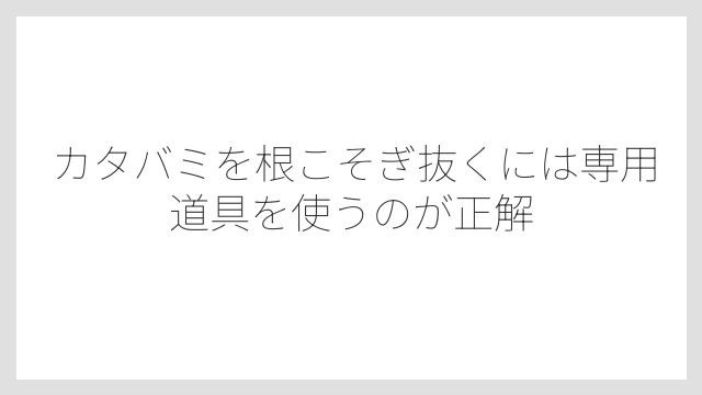 カタバミを根こそぎ抜くには専用道具を使うのが正解