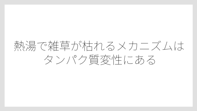 熱湯で雑草が枯れるメカニズムはタンパク質変性にある