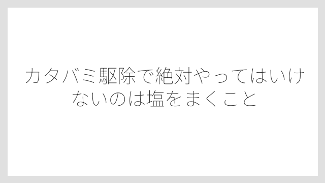 カタバミ駆除で絶対やってはいけないのは塩をまくこと