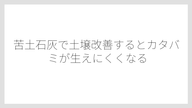 苦土石灰で土壌改善するとカタバミが生えにくくなる