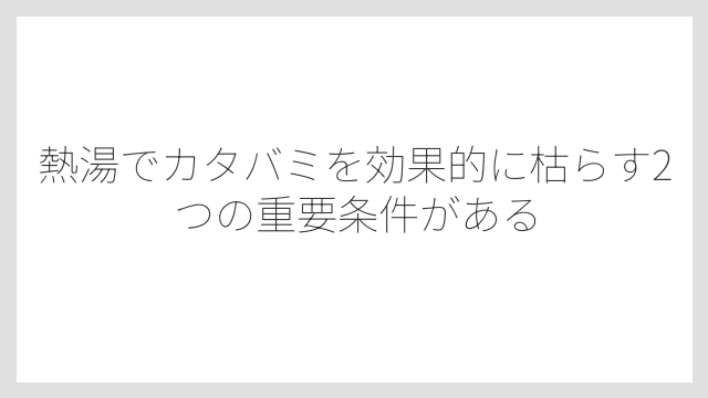 熱湯でカタバミを効果的に枯らす2つの重要条件がある