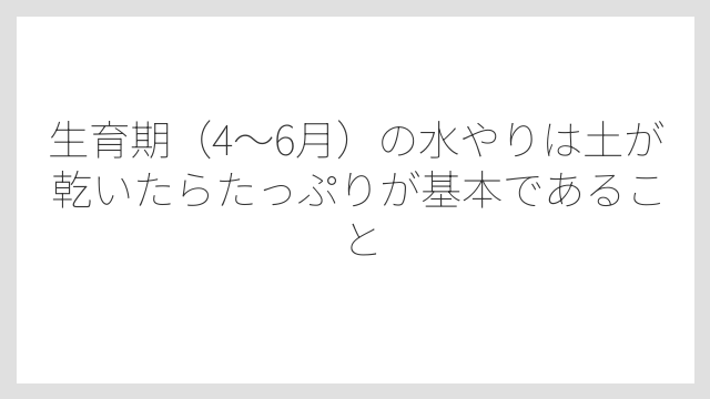 生育期（4〜6月）の水やりは土が乾いたらたっぷりが基本であること