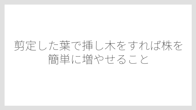 剪定した葉で挿し木をすれば株を簡単に増やせること
