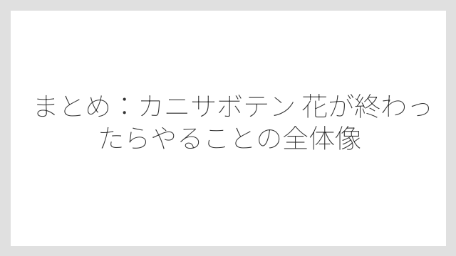 まとめ：カニサボテン 花が終わったらやることの全体像