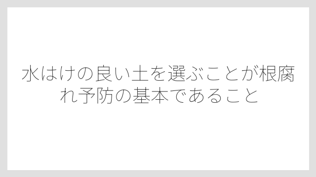 水はけの良い土を選ぶことが根腐れ予防の基本であること