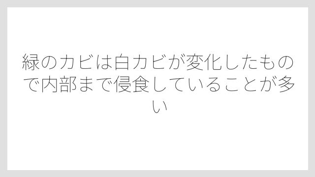 緑のカビは白カビが変化したもので内部まで侵食していることが多い