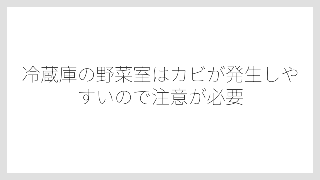 冷蔵庫の野菜室はカビが発生しやすいので注意が必要