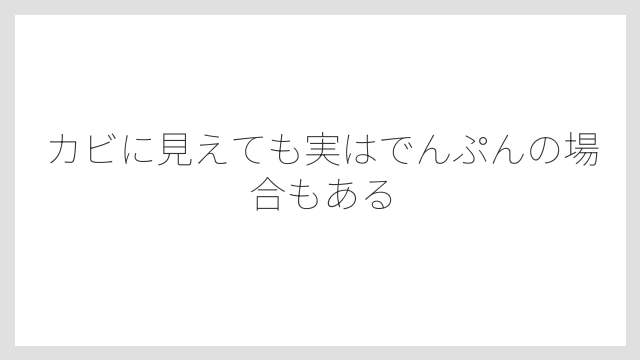 カビに見えても実はでんぷんの場合もある