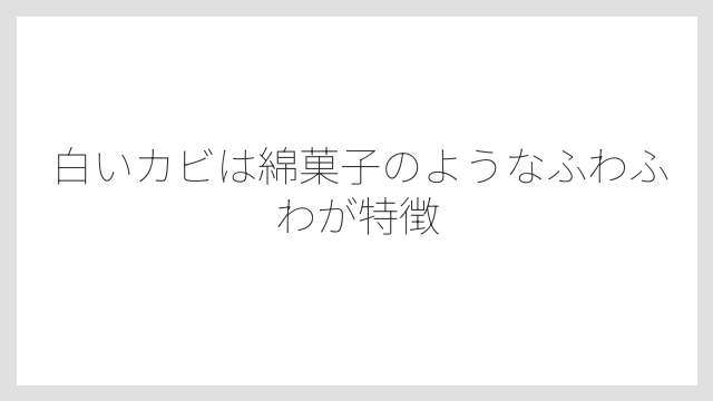 白いカビは綿菓子のようなふわふわが特徴