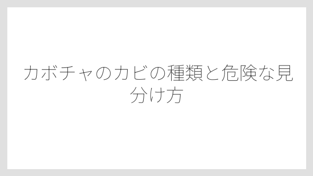カボチャのカビの種類と危険な見分け方