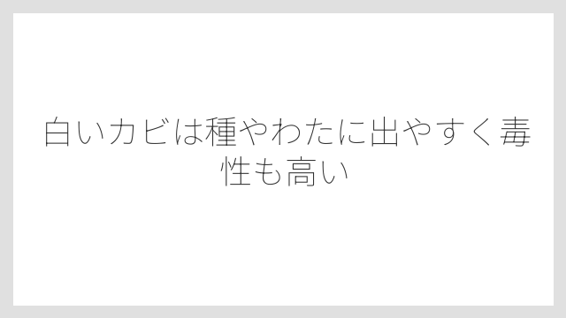 白いカビは種やわたに出やすく毒性も高い