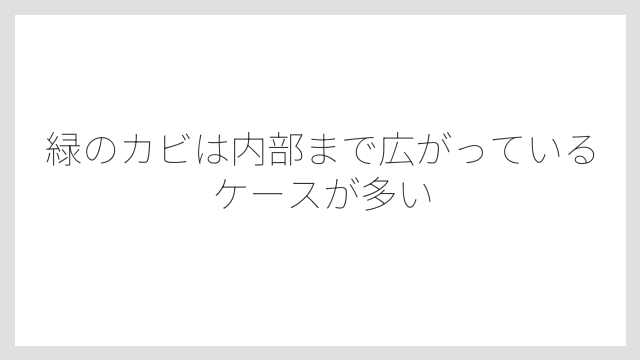 緑のカビは内部まで広がっているケースが多い