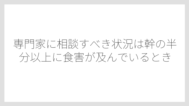 専門家に相談すべき状況は幹の半分以上に食害が及んでいるとき