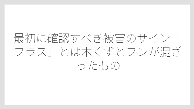 最初に確認すべき被害のサイン「フラス」とは木くずとフンが混ざったもの