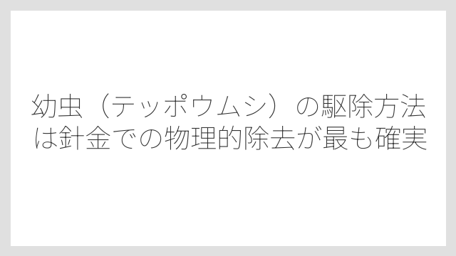 幼虫（テッポウムシ）の駆除方法は針金での物理的除去が最も確実
