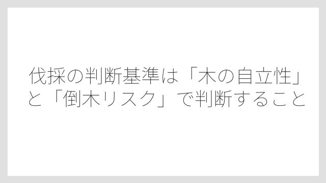 伐採の判断基準は「木の自立性」と「倒木リスク」で判断すること