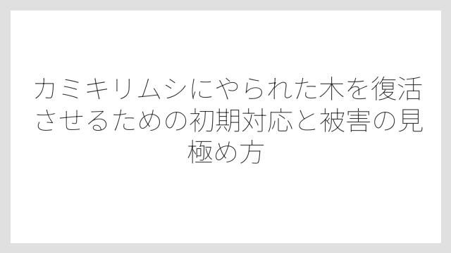 カミキリムシにやられた木を復活させるための初期対応と被害の見極め方