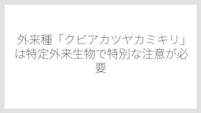 外来種「クビアカツヤカミキリ」は特定外来生物で特別な注意が必要