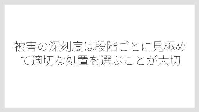 被害の深刻度は段階ごとに見極めて適切な処置を選ぶことが大切