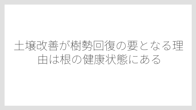 土壌改善が樹勢回復の要となる理由は根の健康状態にある