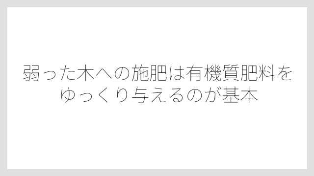 弱った木への施肥は有機質肥料をゆっくり与えるのが基本