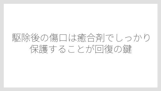 駆除後の傷口は癒合剤でしっかり保護することが回復の鍵