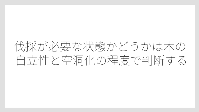 伐採が必要な状態かどうかは木の自立性と空洞化の程度で判断する