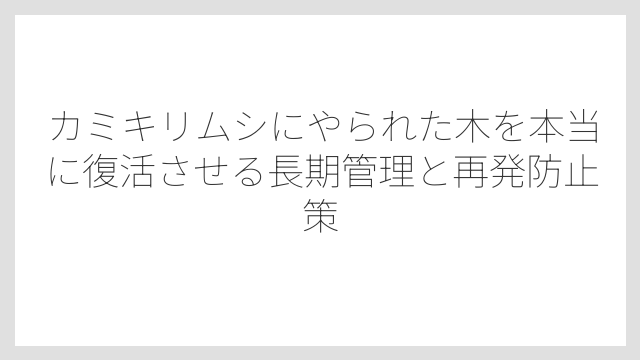 被害の段階によって初期・中間・重度で対処法を変えることが重要