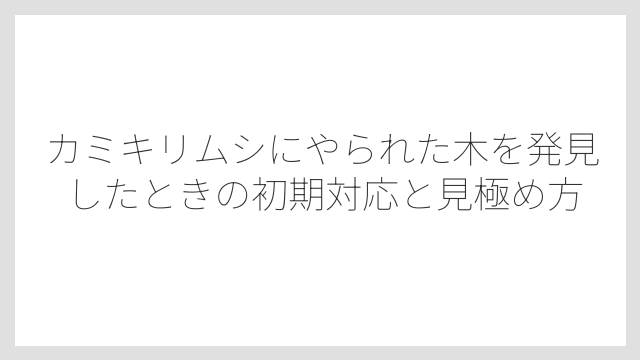 カミキリムシにやられた木を発見したときの初期対応と見極め方