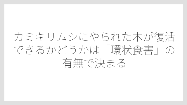 カミキリムシにやられた木が復活できるかどうかは「環状食害」の有無で決まる