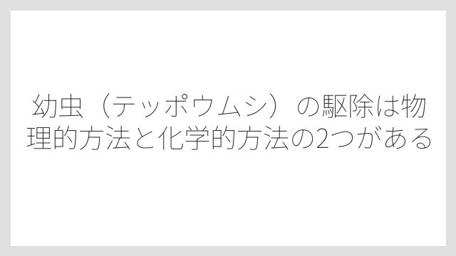 幼虫（テッポウムシ）の駆除は物理的方法と化学的方法の2つがある
