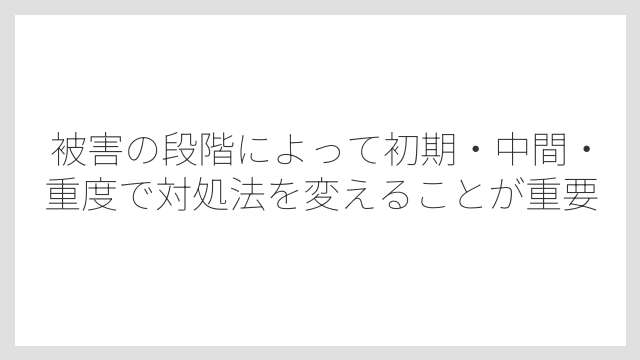 被害の段階によって初期・中間・重度で対処法を変えることが重要