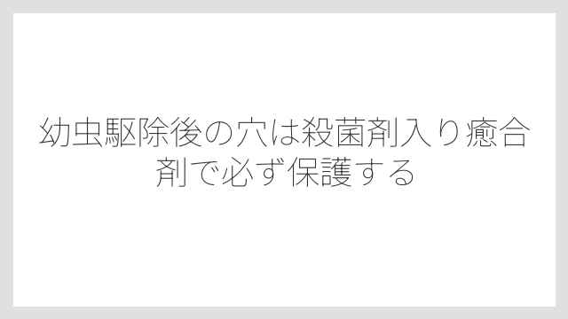 幼虫駆除後の穴は殺菌剤入り癒合剤で必ず保護する
