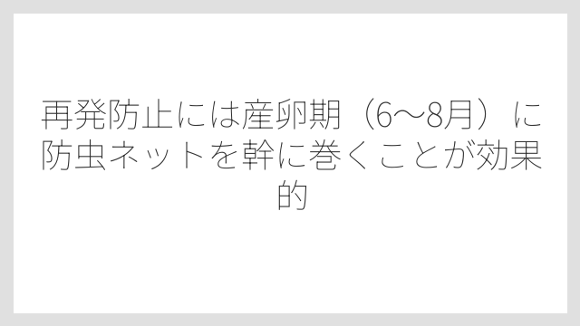 再発防止には産卵期（6〜8月）に防虫ネットを幹に巻くことが効果的