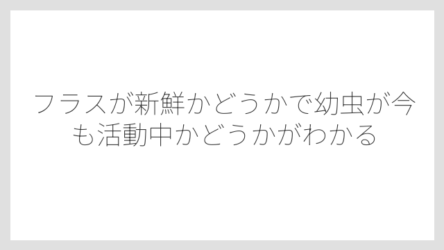 フラスが新鮮かどうかで幼虫が今も活動中かどうかがわかる