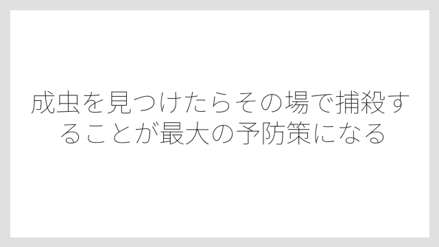成虫を見つけたらその場で捕殺することが最大の予防策になる