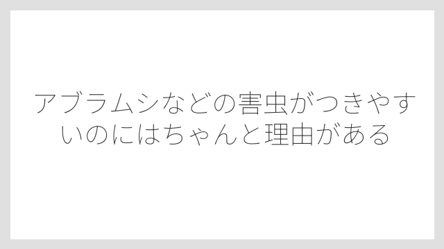 アブラムシなどの害虫がつきやすいのにはちゃんと理由がある