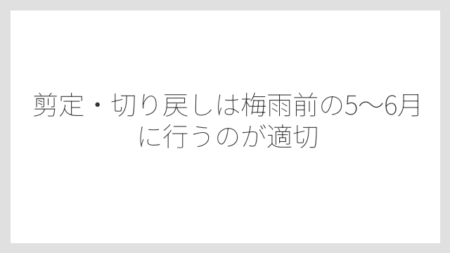剪定・切り戻しは梅雨前の5〜6月に行うのが適切