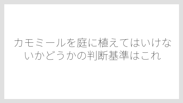 カモミールを庭に植えてはいけないかどうかの判断基準はこれ