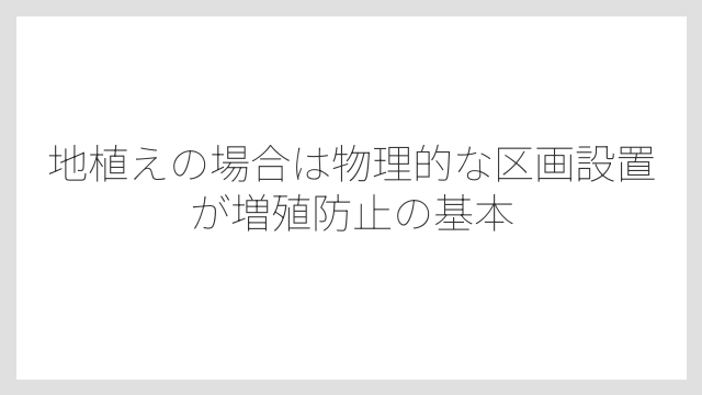 地植えの場合は物理的な区画設置が増殖防止の基本
